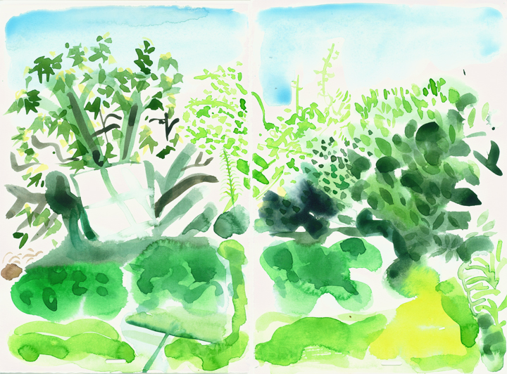 Back Garden at No 43