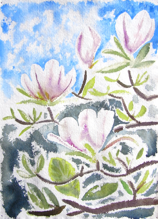 Magnolias