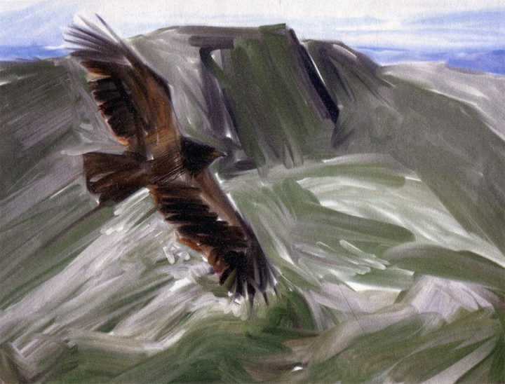 Golden Eagle