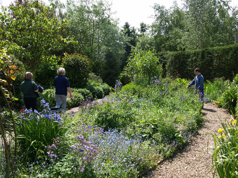 a photograph of the garden and wildlife area at Horticap. This picture was taken on a sunny day and the flowers are blooming.