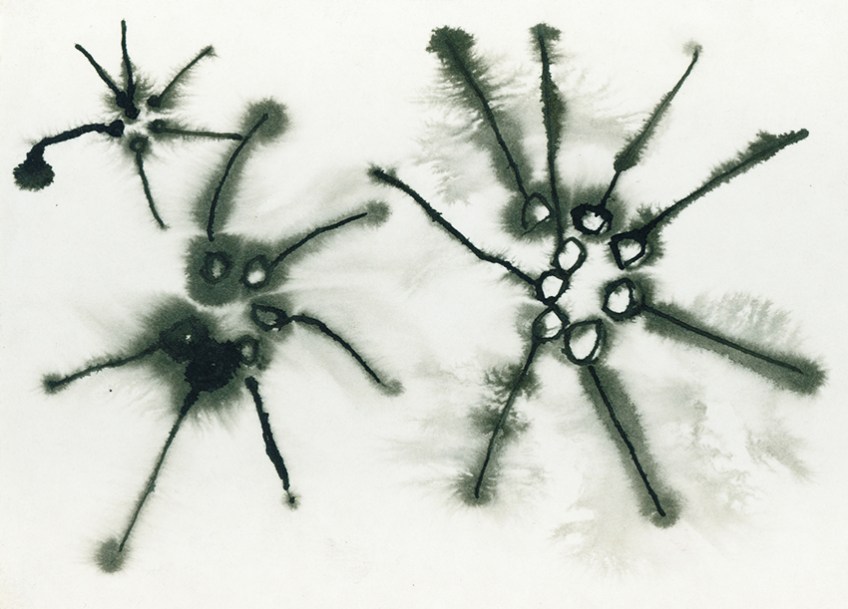 star shapes drawn in indian ink on wet paper