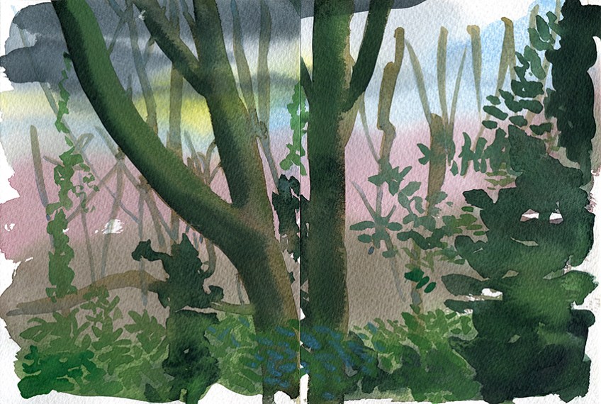 Gledhow Valley Woods diptych