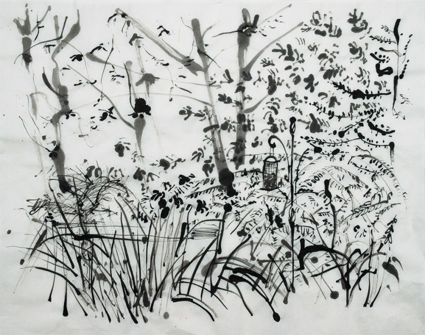 Back Garden, Chinese Ink on rice paper - drawing by Jo Dunn