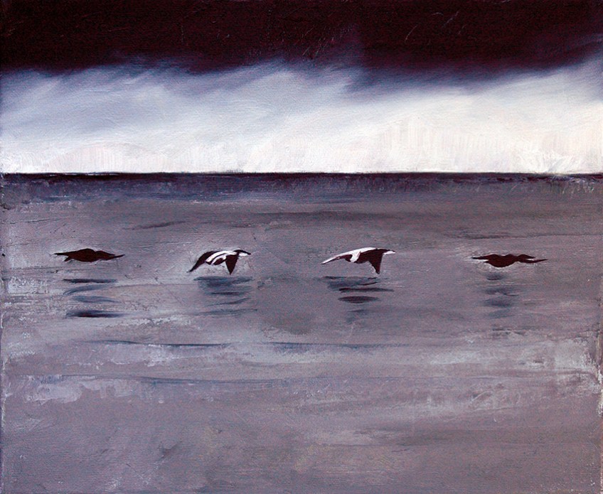 Eiders in Flight, oil painting by Jo Dunn, 2012