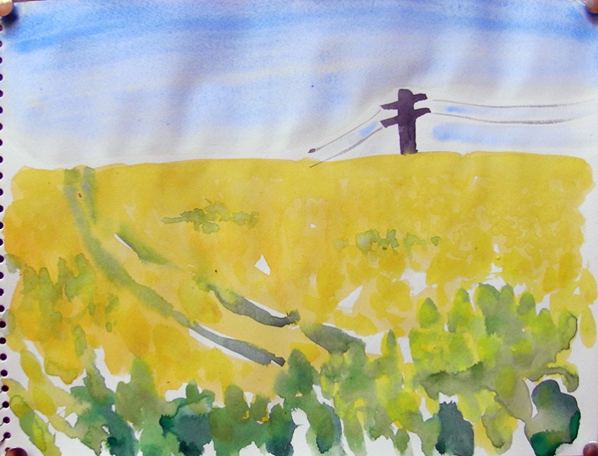 Rapefield, telegraph pole, watercolour