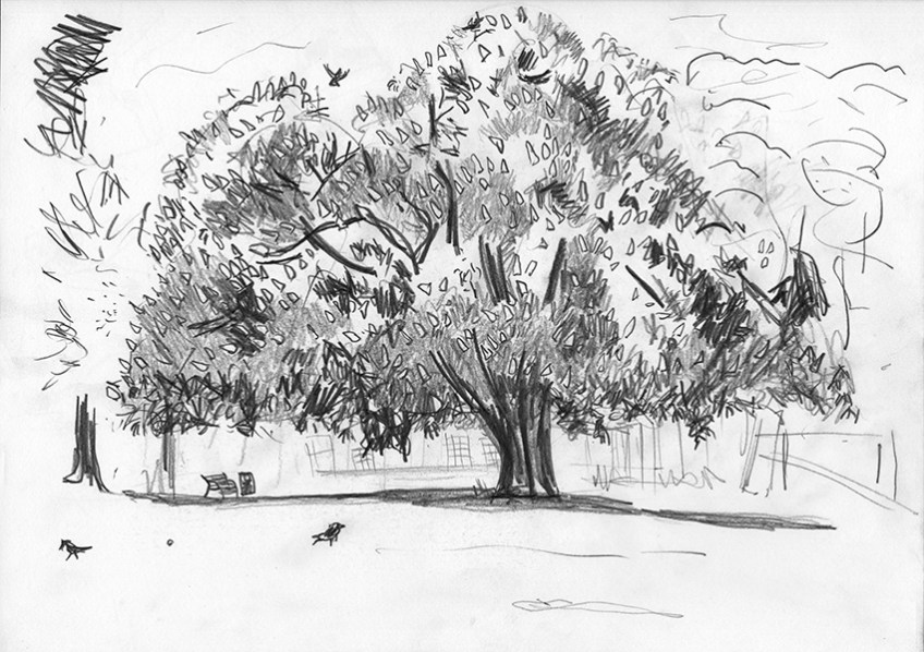 Horsechestnut, Potternewton Park - pencil drawing by Jo Dunn, 2016