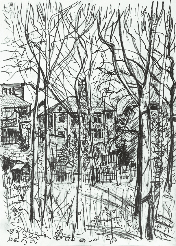 View from the Woods - pencil drawing by Jo Dunn, 2016