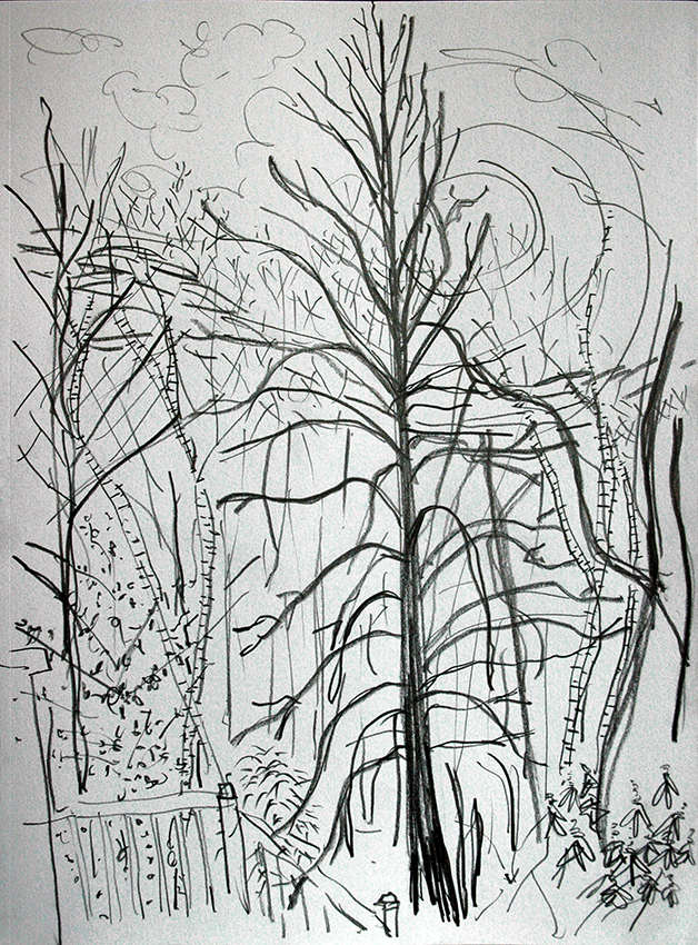 woods-and-deck-english-lime tree