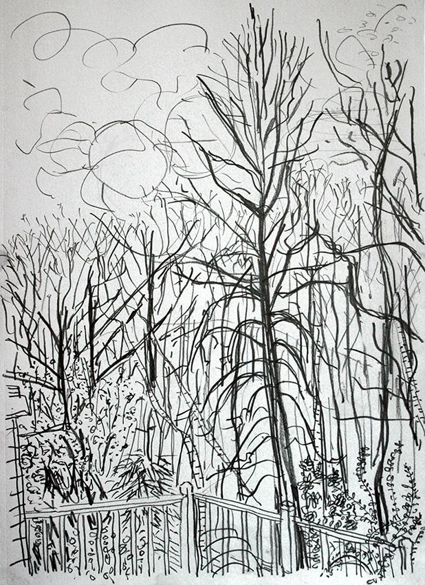 woods-and-deck-english-lime-tree