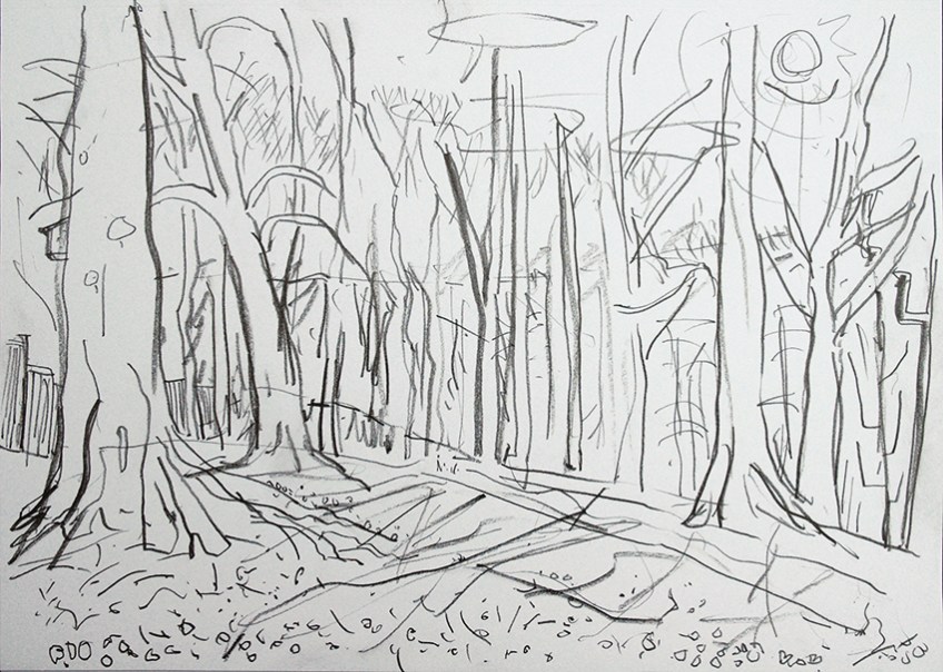 woods-sketch-13th-feb-2014