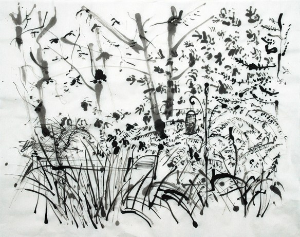 Back Garden, ink drawing