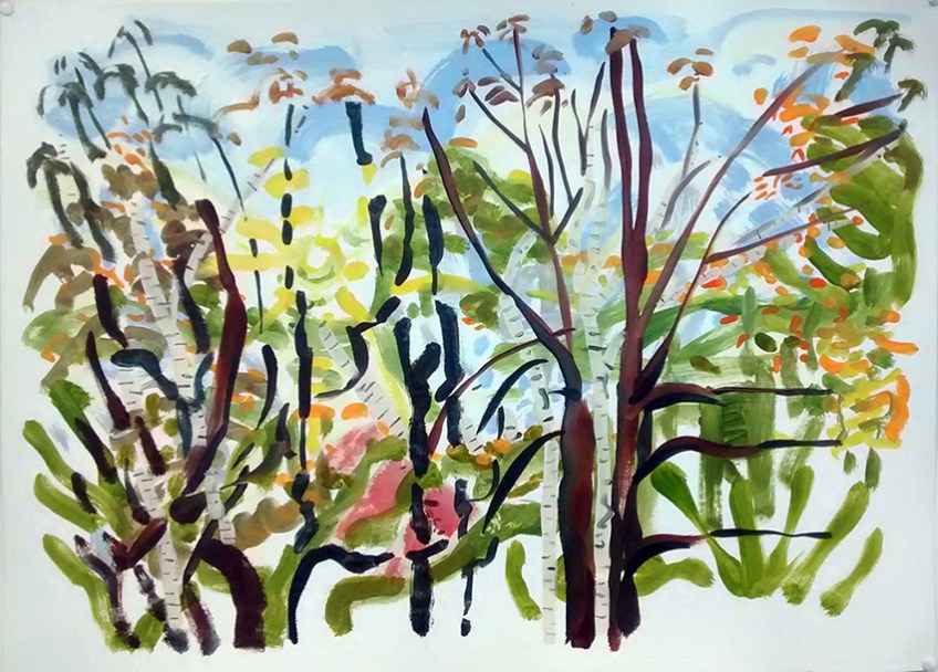 October, the sun is low behind the trees