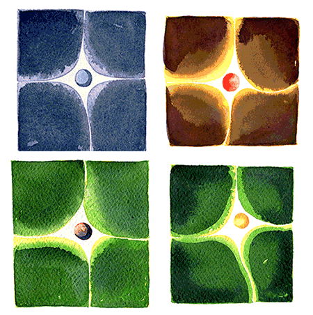 Star Cells, animation for Winter Solstice