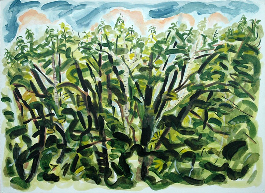 The wall of trees in June