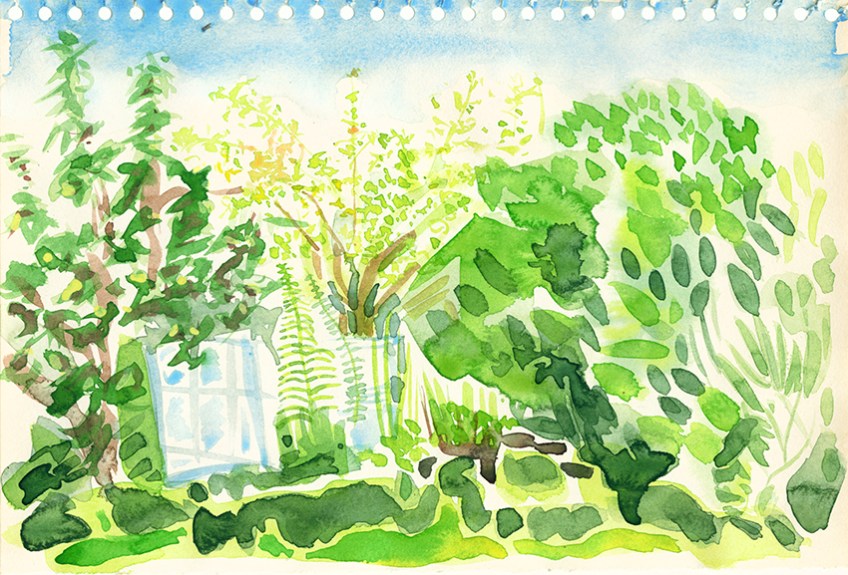 Back garden at No 43 ii, watercolour