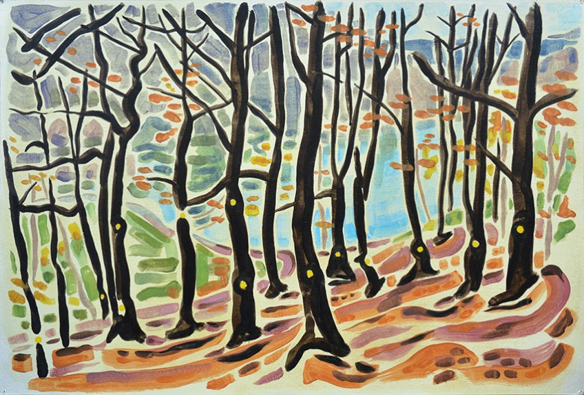 Yellow spots spray painted on beech trees in Gledhow Valley Woods, Leeds