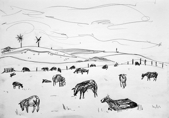 JDunn - Swartbles and windmills - southwest