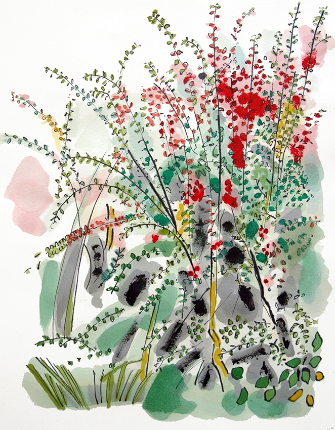 Corner of the Garden, watercolour and ink drawing by Jo Dunn 2010