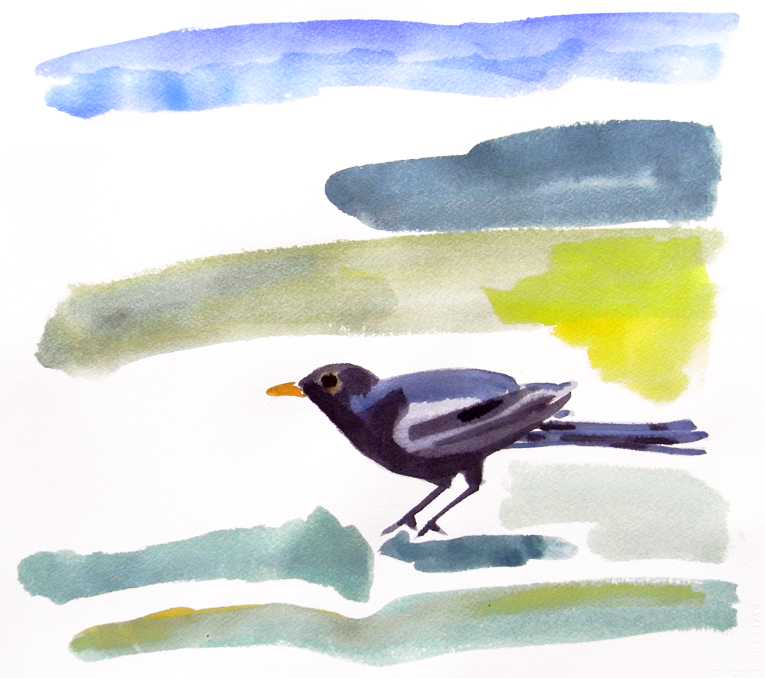 Blackbird, watercolour painting by Jo Dunn 2011