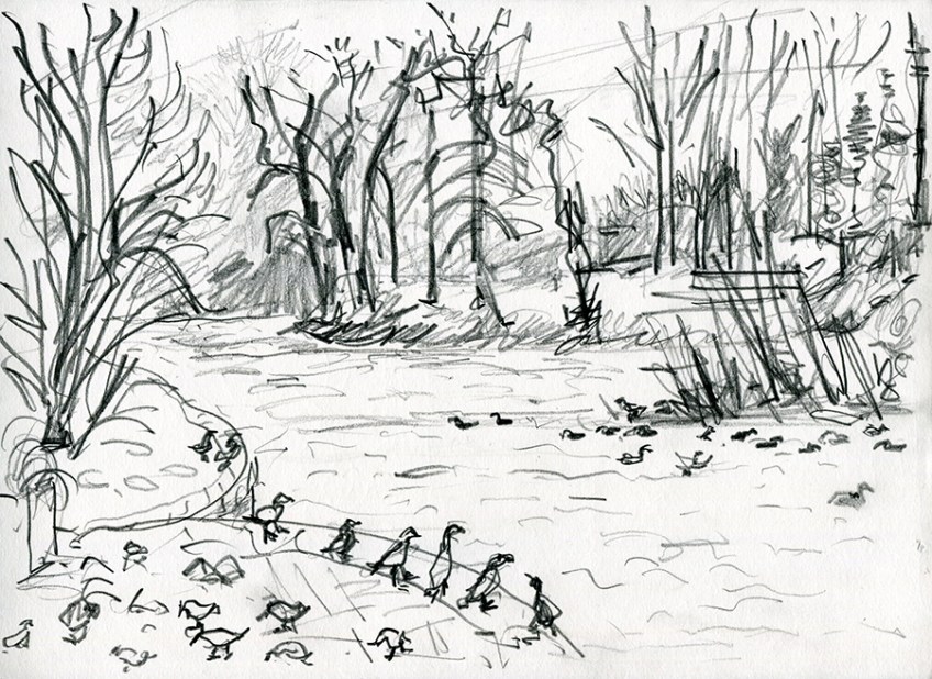 River Wharfe at Wetherby, pencil drawing by Jo Dunn