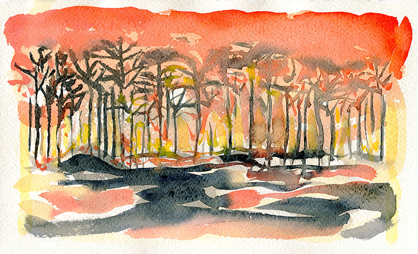 Australian bushfires in NSW