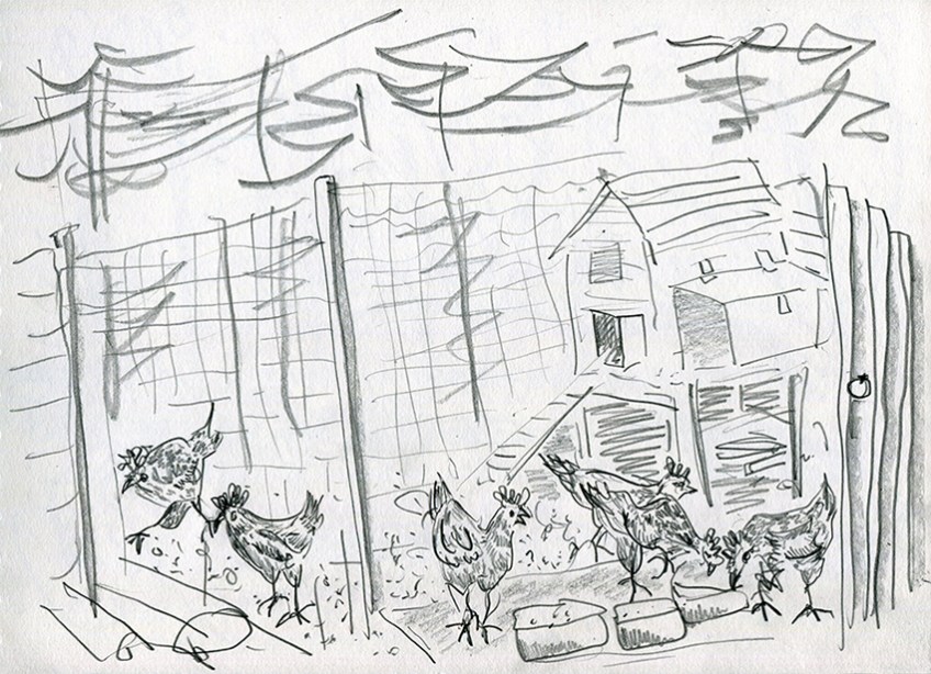 Horticap II - pencil drawing by Jo Dunn 2019