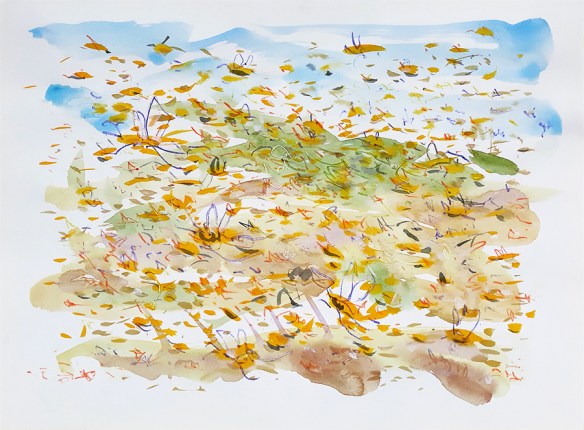 Jo Dunn - Plague of Locusts 2