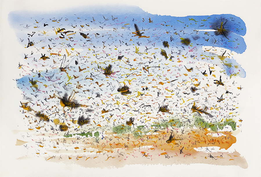 Jo Dunn - Plague of Locusts 3