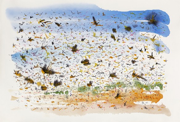 Jo Dunn - Plague of Locusts 3