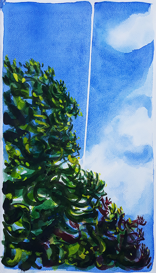 watercolour by Jo Dunn, 2020