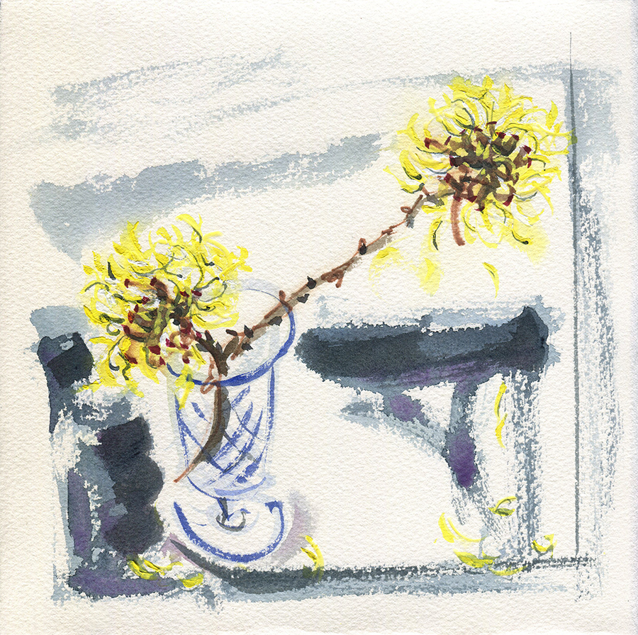 Still Life with Witch Hazel III - watercolour painting by Jo Dunn
