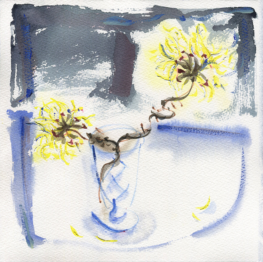 Still Life with Witch Hazel IV - watercolour painting by Jo Dunn
